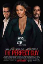 Watch The Perfect Guy Moviesjoy