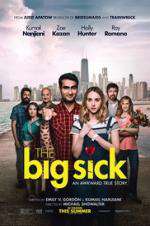 Watch The Big Sick Moviesjoy