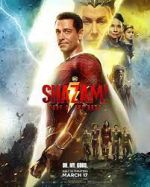 Watch Shazam! Fury of the Gods Moviesjoy