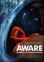 Watch Aware: Glimpses of Consciousness Moviesjoy