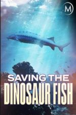 Watch Saving the Dinosaur Fish Moviesjoy
