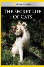 Watch National Geographic The Secret Life of Cats Moviesjoy