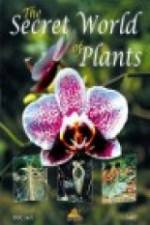 Watch The Secret World of Plants Moviesjoy