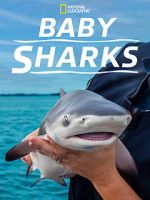 Watch Baby Sharks Moviesjoy