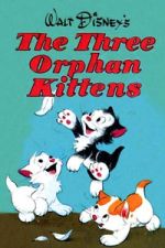 Watch Three Orphan Kittens Moviesjoy