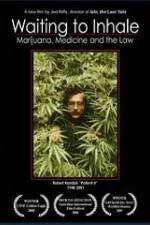 Watch Waiting to Inhale Moviesjoy