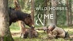 Watch Wild Horses, the Rockies and Me (TV Special 2025) Moviesjoy