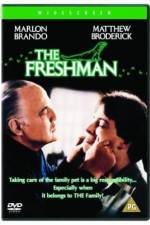 Watch The Freshman Moviesjoy
