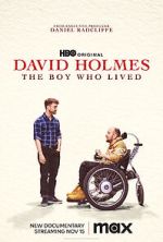 Watch David Holmes: The Boy Who Lived Moviesjoy