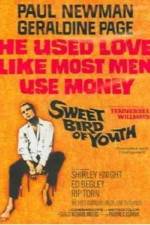 Watch Sweet Bird of Youth Moviesjoy
