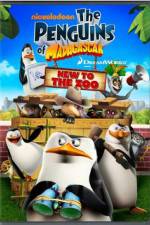 Watch Penguins of Madagascar New to the Zoo Moviesjoy