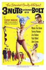 Watch 3 Nuts in Search of a Bolt Moviesjoy