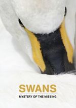 Watch Swans: Mystery of the Missing Moviesjoy