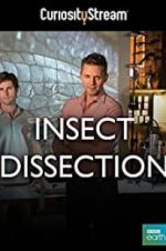 Watch Insect Dissection: How Insects Work Moviesjoy