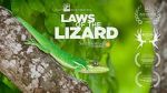 Watch Laws of the Lizard Moviesjoy