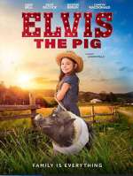 Watch Elvis the Pig Moviesjoy