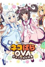 Watch Nekopara OVA Extra Moviesjoy
