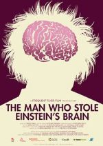 Watch The Man Who Stole Einstein\'s Brain Moviesjoy