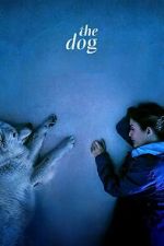 Watch The Dog Moviesjoy