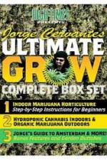 Watch Jorge Cervantes Ultimate Grow Complete Box Set Moviesjoy