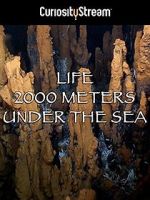 Watch Life 2,000 Meters Under the Sea Moviesjoy