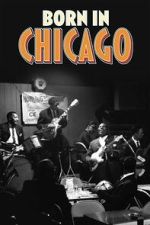 Watch Born In Chicago Moviesjoy