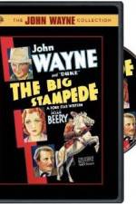 Watch The Big Stampede Moviesjoy