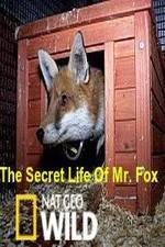 Watch The Secret Life of Mr. Fox Moviesjoy