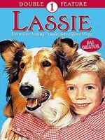 Watch Lassie: A New Beginning Moviesjoy