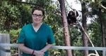 Watch Sue Perkins and the Chimp Sanctuary Moviesjoy