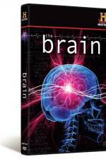 Watch The Brain Moviesjoy