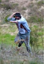 Watch Riot or Revolution: Eureka Stockade 1854 Moviesjoy