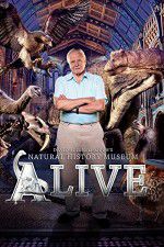 Watch David Attenborough\'s Natural History Museum Alive Moviesjoy
