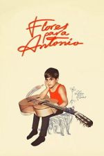 Watch Flores para Antonio Moviesjoy