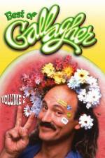 Watch Gallagher Stuck in the Sixties Moviesjoy