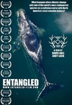 Watch Entangled: The Race to Save Right Whales from Extinction Moviesjoy