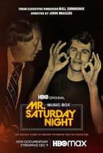 Watch Mr. Saturday Night Moviesjoy