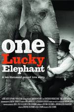 Watch En lycklig elefant Moviesjoy