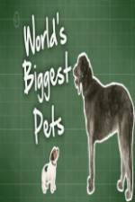 Watch World's Biggest Pets Moviesjoy
