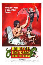 Watch Bruce Lee Fights Back from the Grave Moviesjoy