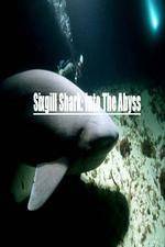 Watch National Geographic Wild Sixgill Shark Into The Abyss Moviesjoy