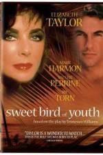 Watch Sweet Bird of Youth Moviesjoy