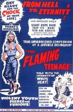 Watch The Flaming Teenage Moviesjoy