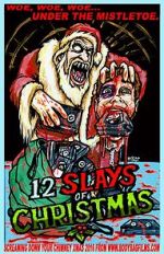 Watch The 12 Slays of Christmas Moviesjoy