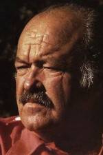 Watch The Return of Frank Cannon Moviesjoy