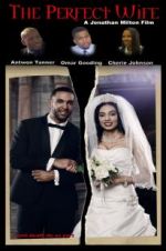 Watch The Perfect Wife Moviesjoy