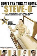 Watch Don't Try This at Home The Steve-O Video Moviesjoy