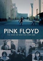 Watch Pink Floyd: The Story of Wish You Were Here Moviesjoy