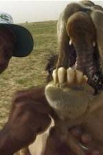 Watch With the Nomads Moviesjoy