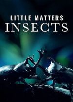 Watch Little Matters: Insects Moviesjoy